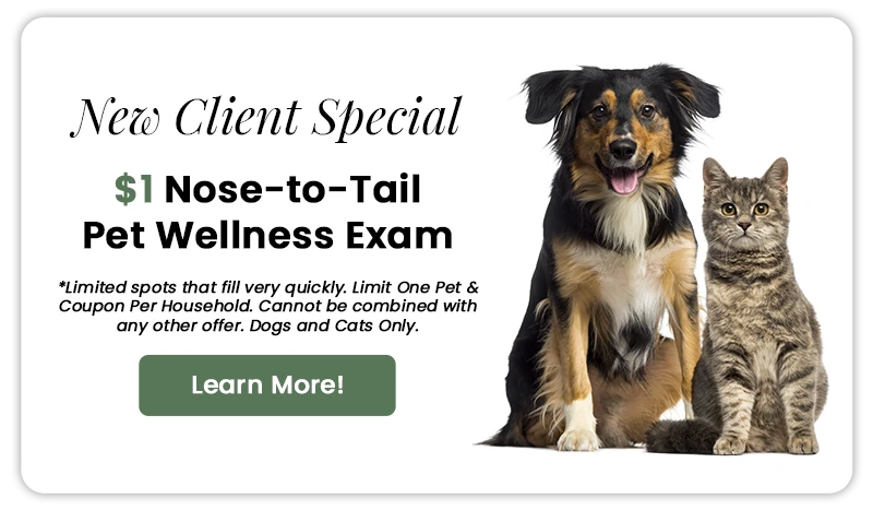 New Client Special: $1 Nose-to-Tail Pet Wellness Exam